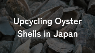 オンライン英会話用の英語ニュース教材の記事画像。テーマは三重県鳥羽市の廃棄カキ殻を再利用した環境に優しい製品『ケアシェル』。記事を読んで理解度確認の質問に答えたり、ディスカッションに使える内容です。