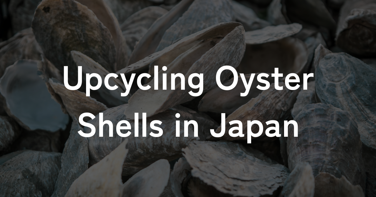 オンライン英会話用の英語ニュース教材の記事画像。テーマは三重県鳥羽市の廃棄カキ殻を再利用した環境に優しい製品『ケアシェル』。記事を読んで理解度確認の質問に答えたり、ディスカッションに使える内容です。